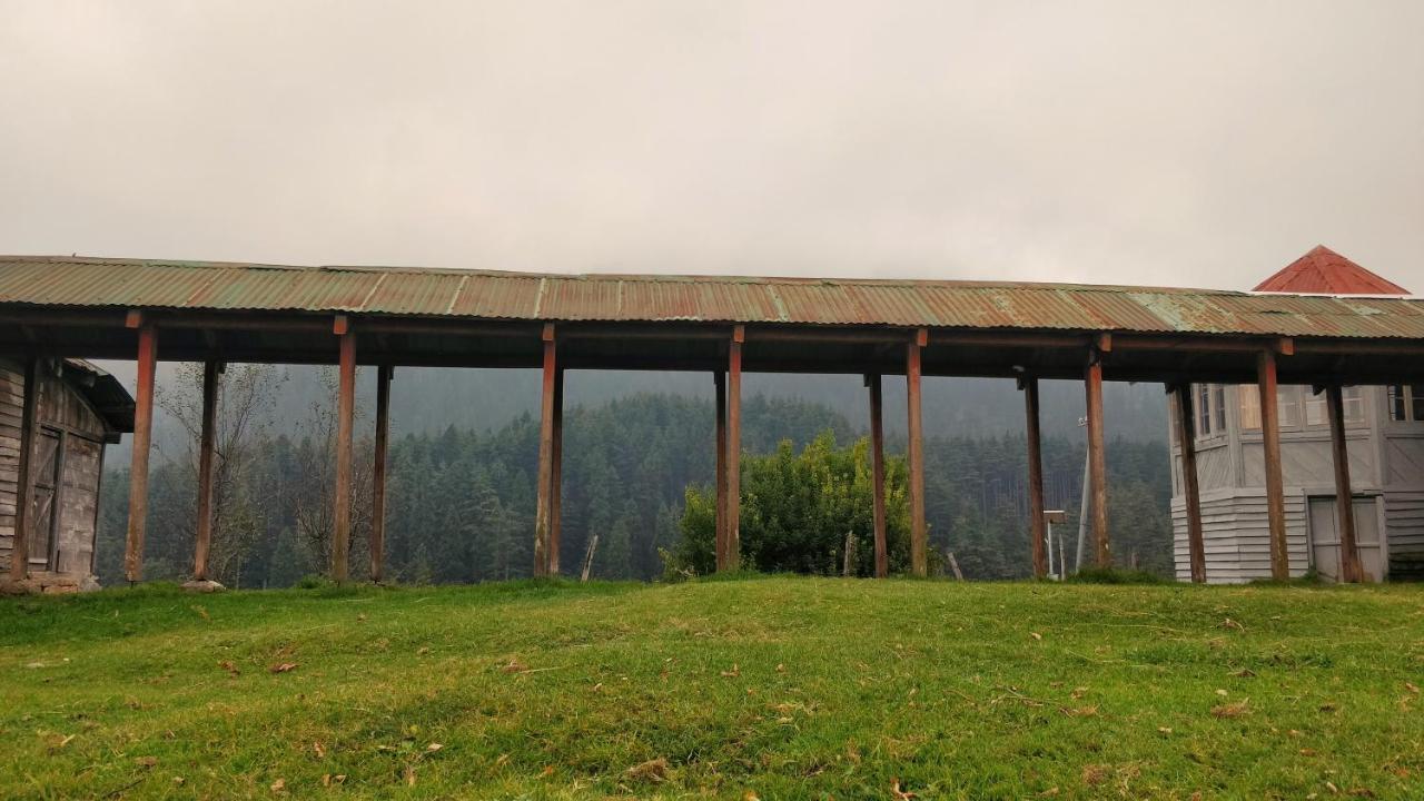Black Bear Cottage Khajjiar Exterior foto