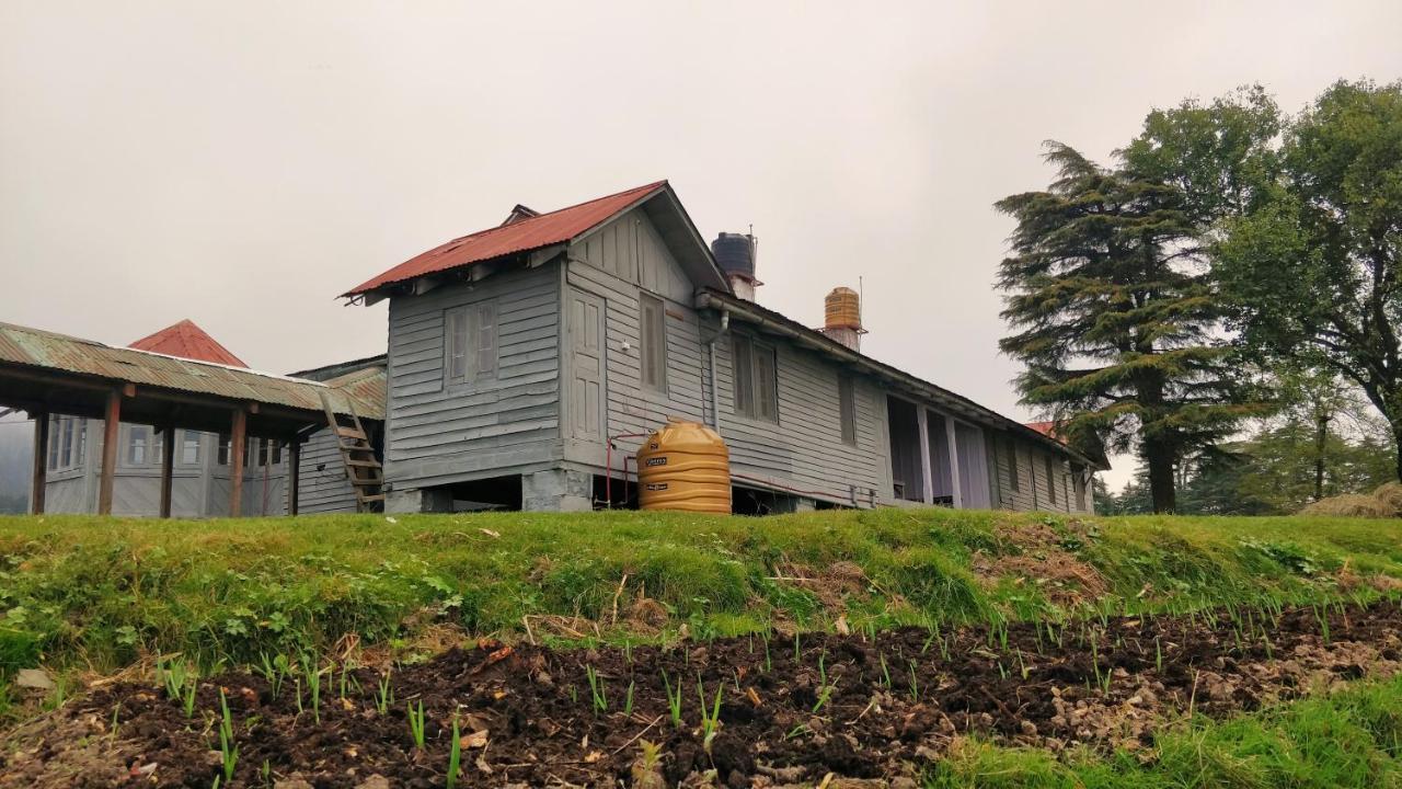Black Bear Cottage Khajjiar Exterior foto